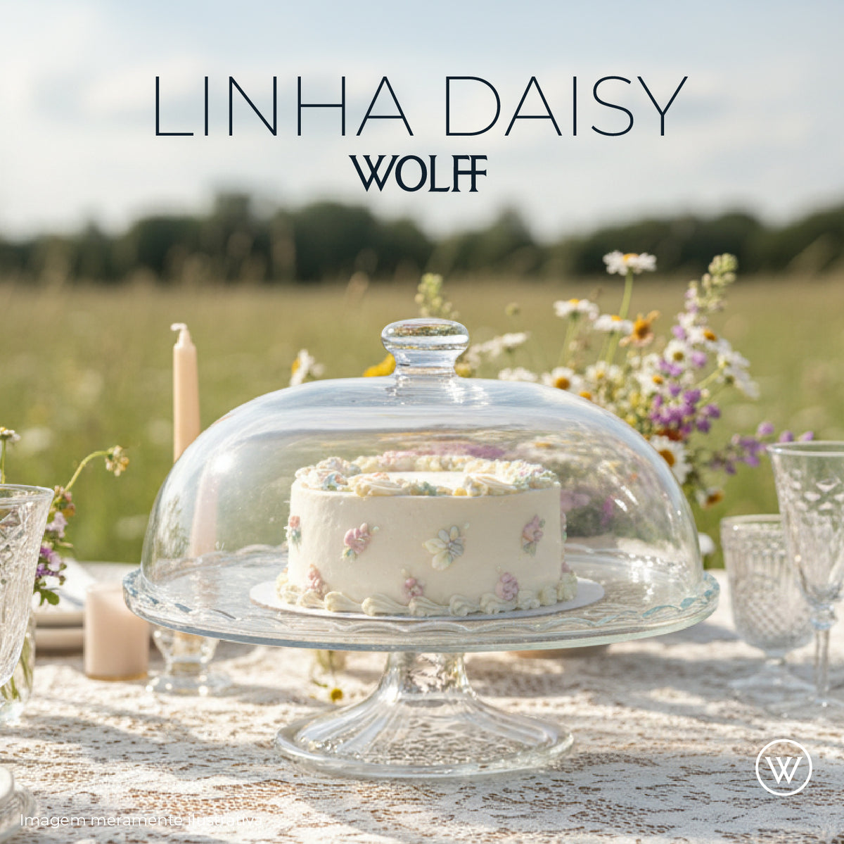 Boleira Daisy Cristal - Wolff