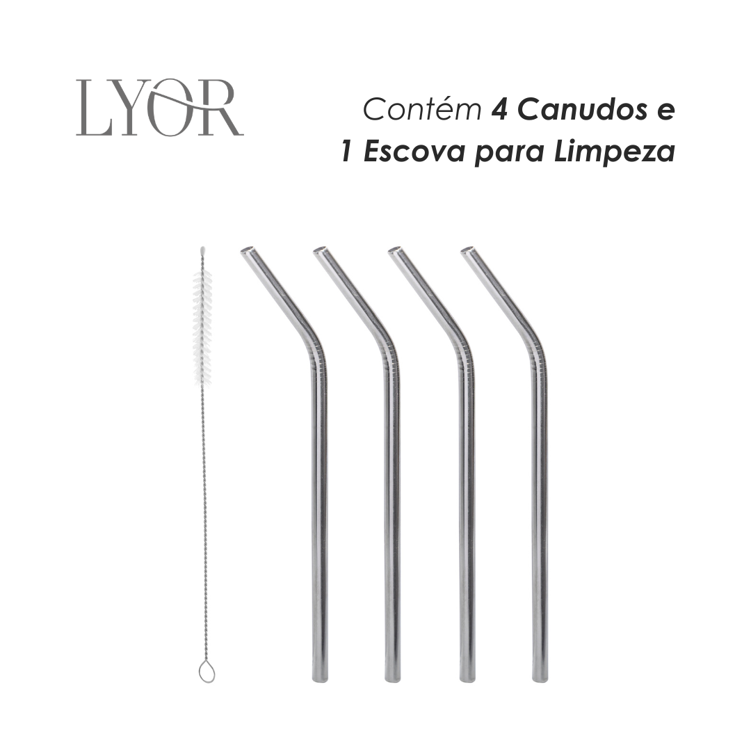 Conjunto 4 Canudos de Aço Inox Reutilizáveis com Escova para Limpeza 21,5cm - Lyor