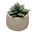Cachepot com Suculenta Artificial Geometry 8cm x 9,5cm Bege Cimento - Lyor