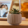Cachepot com Suculenta Artificial Geometry 8cm x 9,5cm Bege Cimento - Lyor