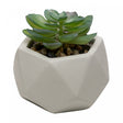 Cachepot com Sucelenta Artificial Prismatto 8cm x 7cm Cinza Cimento - Lyor