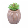 Cachepot de Cerâmica com Suculenta Sisal 9,5cm x 9,5cm X 14,5cm - Wolff