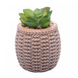 Cachepot de Cerâmica com Suculenta Sisal 7,5cm x 7,5cm X 10,5cm - Wolff