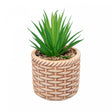Cachepot de Cerâmica com Suculenta Rattan 10cm x 10cm X 17cm - Wolff
