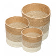 Conjunto 3 Cestos Organizadores de Fibra Natural Degradê - Wolff