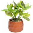 Cachepot de Cimento com Planta Artificial Prisma Marrom 11cm x 22cm - Wolff