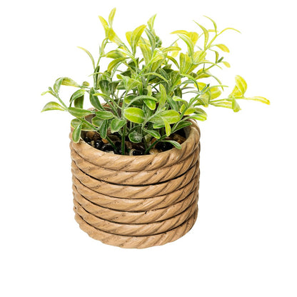 Cachepot com Planta Artificial Boxwood 7,5cm x 7,5cm x 11cm Natural Cimento -  Wolff