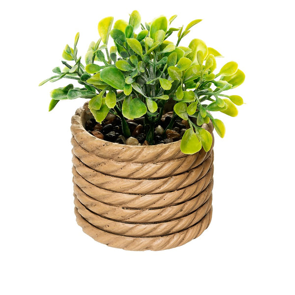 Cachepot com Planta Artificial Eucalyptus 7,5cm x 7,5cm x 11cm Natural  Cimento - Wolff