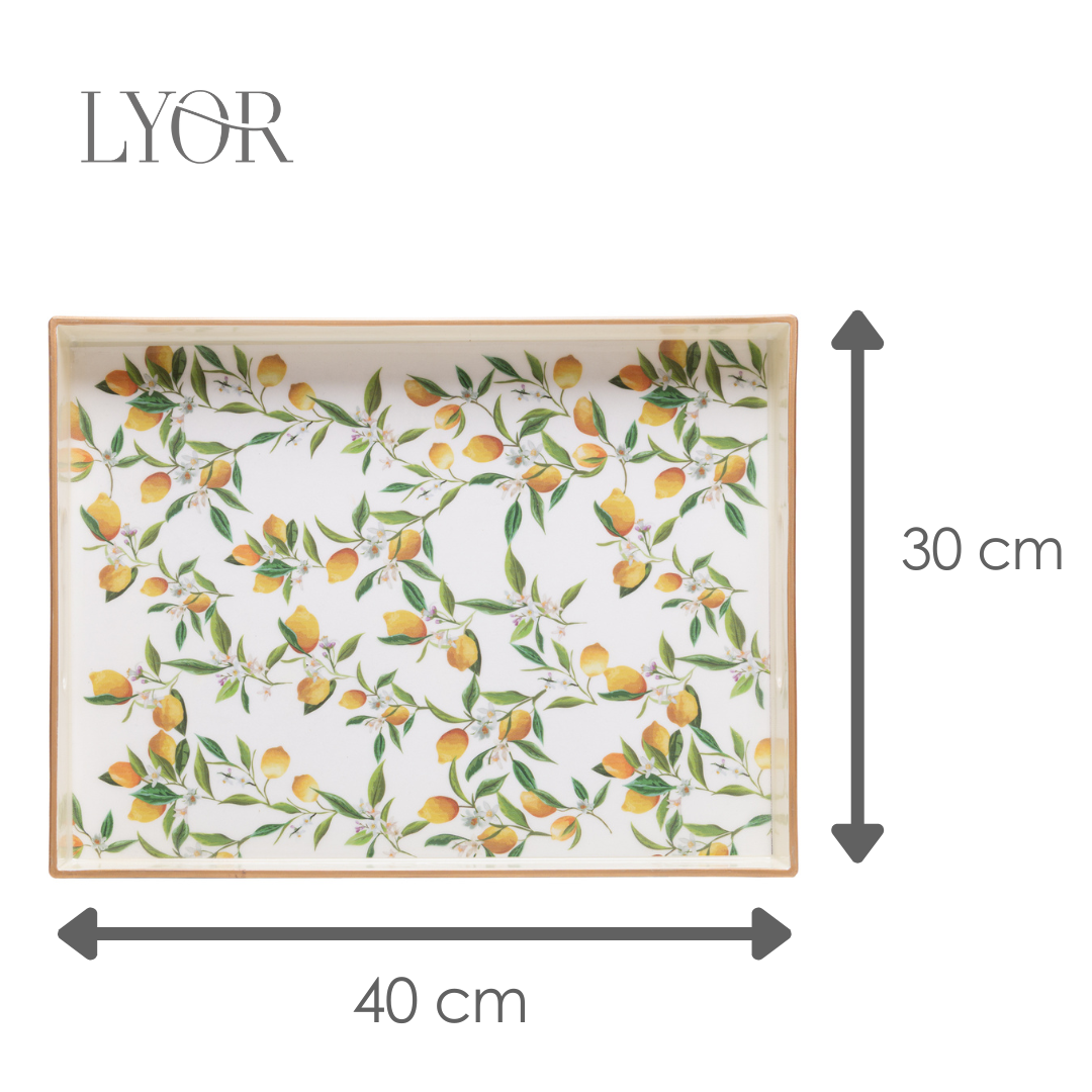Bandeja Decorativa Siciliano 40cm x 30cm x 4cm Plástico - Lyor