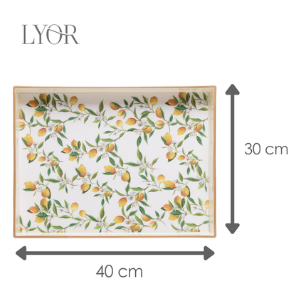 Bandeja Decorativa Siciliano 40cm x 30cm x 4cm Plástico - Lyor