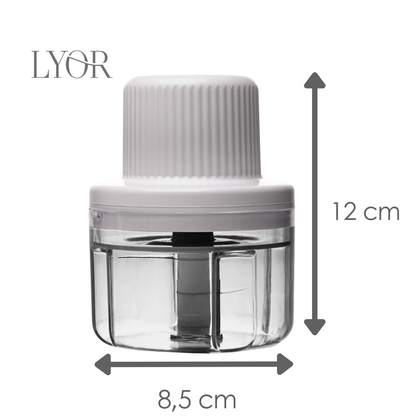 Mini Processador com Entrada USB 8,5cm x 8,5cm x 12cm Branco Plástico - Lyor