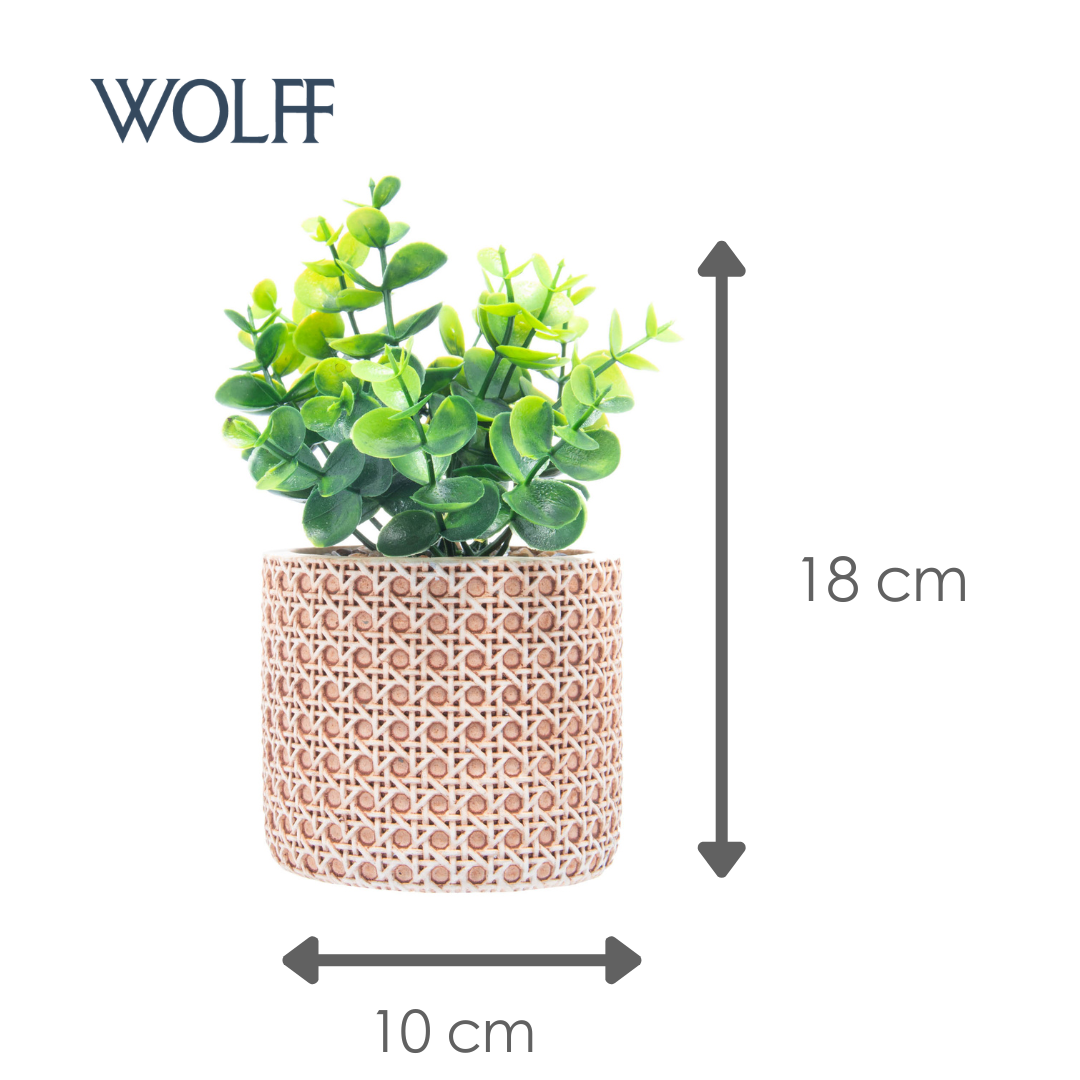Cachepot de Cerâmica com Suculenta Treliça 10cm x 10cm X 18cm - Wolff