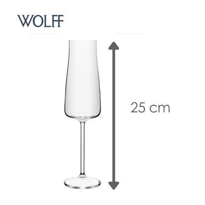 Conjunto 6 Taças Champagne Alex 210ml Cristal Ecológico – Wolff
