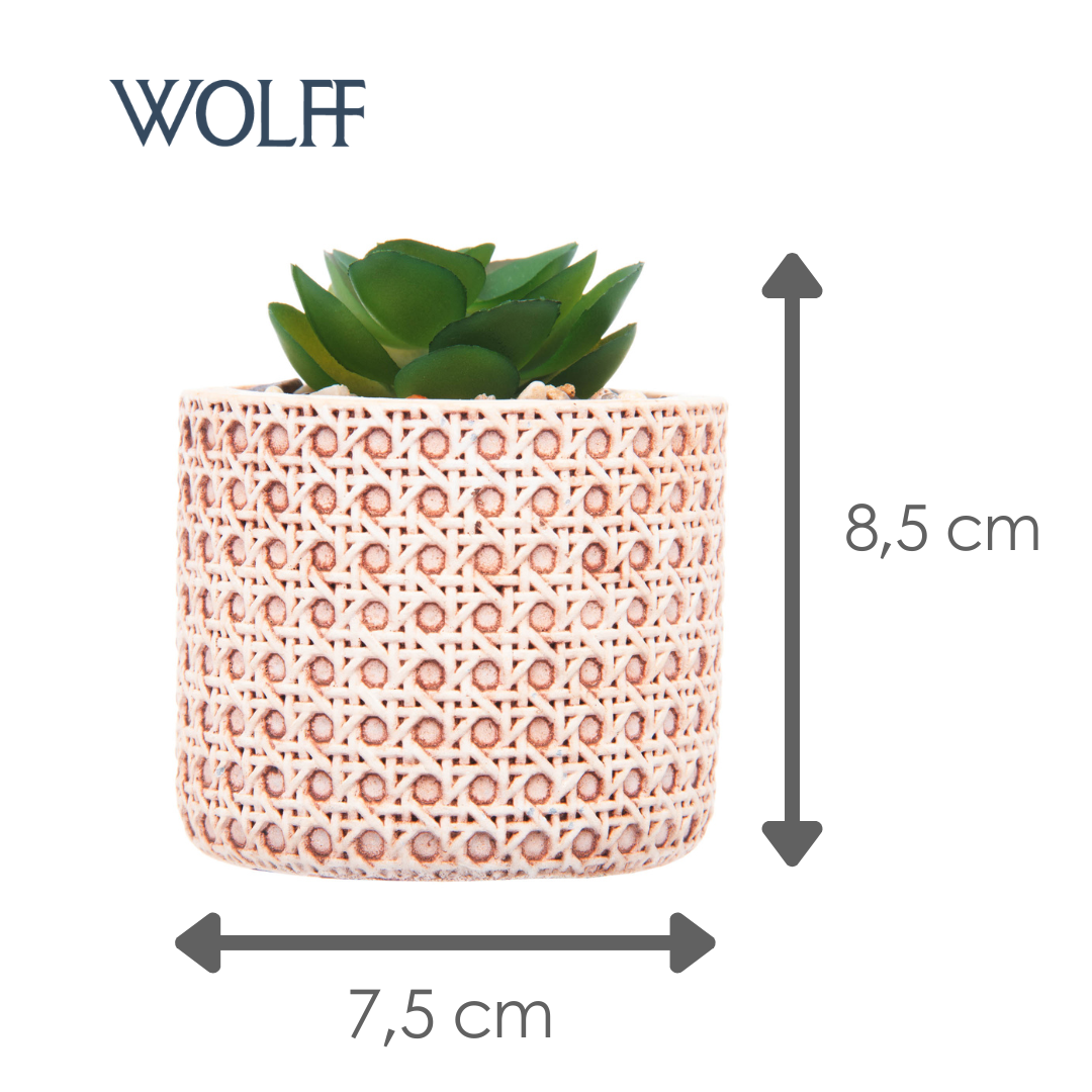 Cachepot de Cerâmica com Suculenta Treliça 7,5cm x 7,5cm X 8,5cm - Wolff