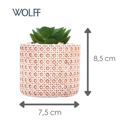 Cachepot de Cerâmica com Suculenta Treliça 7,5cm x 7,5cm X 8,5cm - Wolff
