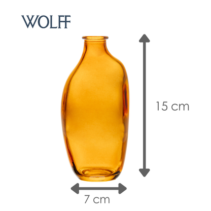 Vaso Organics 7cm x 15cm x 5,5cm Âmbar Vidro - Wolff
