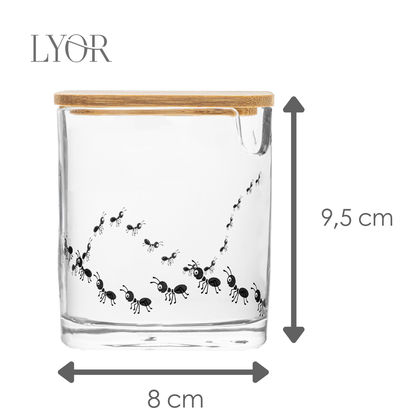 Açucareiro com Tampa e Colher de Bambu New Bug 8cm x 9,5cm Vidro – Lyor