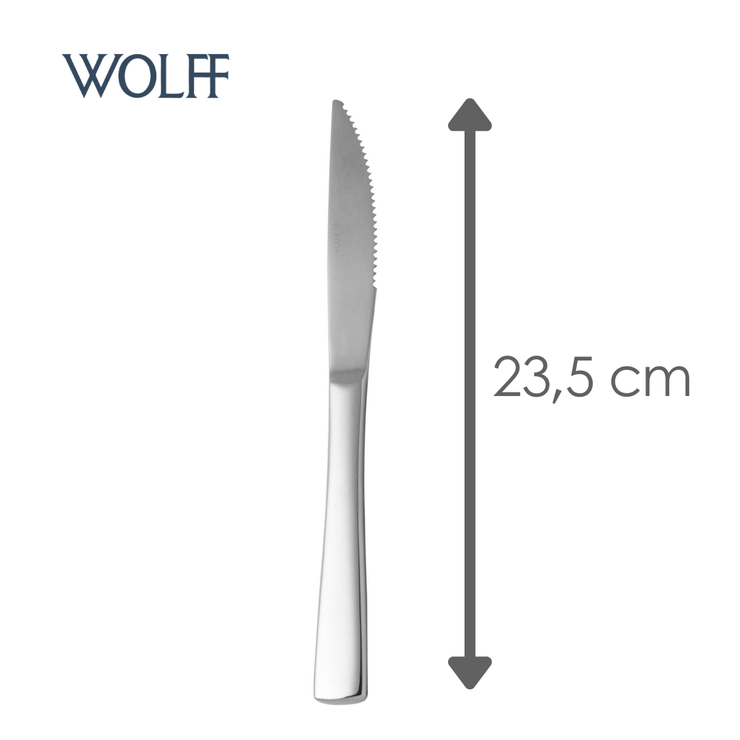 Conjunto 12 Facas para Churrasco de Aço Inox Pisa - Wolff