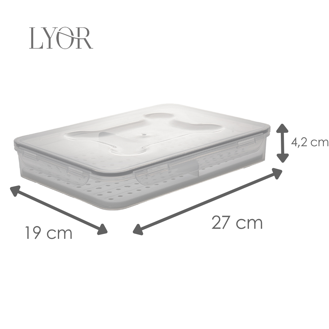Porta Frios com Divisória e Tampa Hermética 26,5cm x 19cm x 4cm Branco Plástico - Lyor