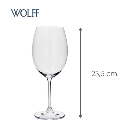 Jogo 6 Taças de Água De Cristal Ecológico Bohemia Gastro/Colibri 580Ml - Wolff