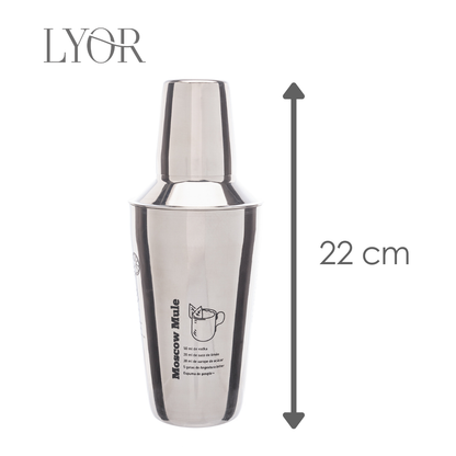 Coqueteleira de Aço Inox com Receitas 500ml - LYOR