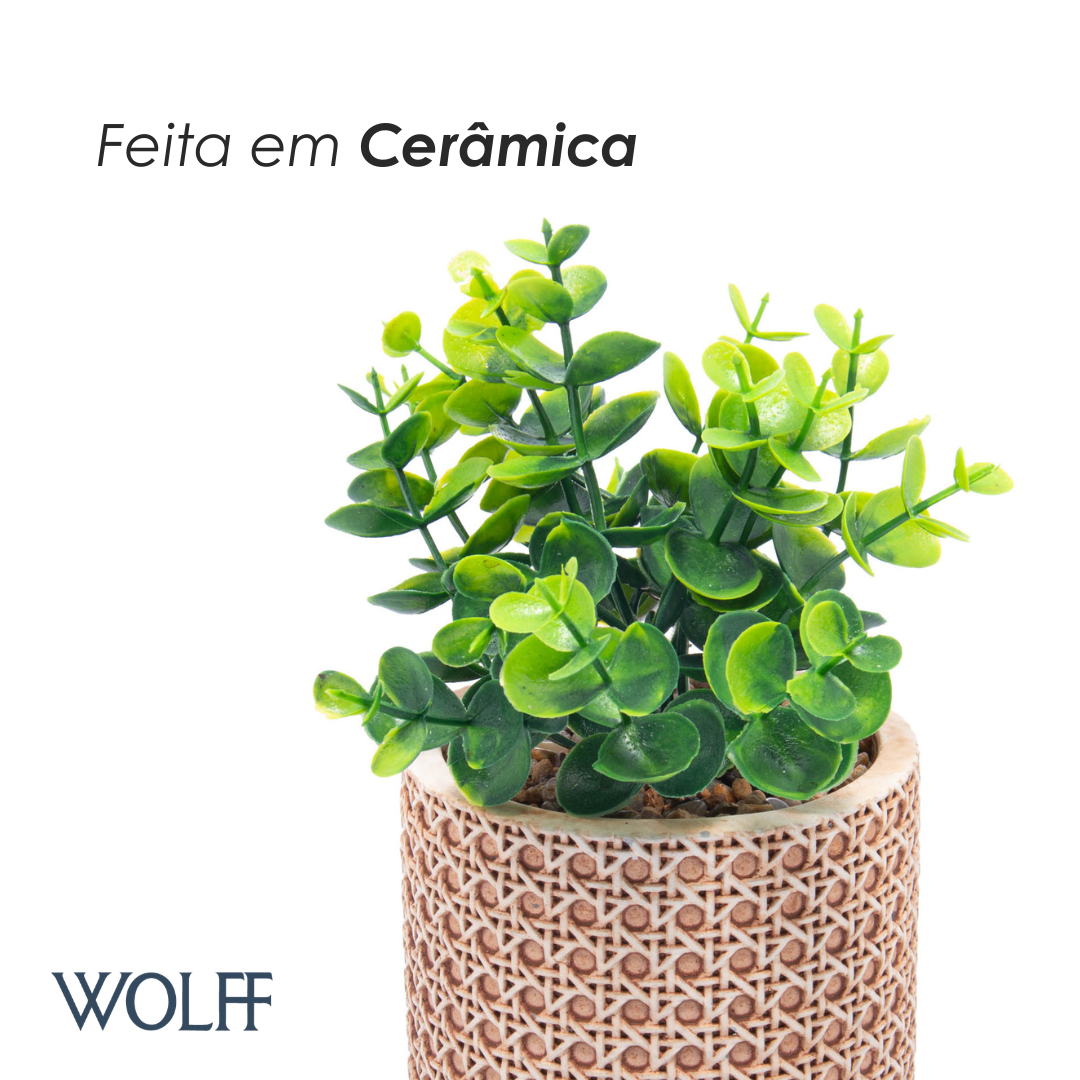 Cachepot de Cerâmica com Suculenta Treliça 10cm x 10cm X 18cm - Wolff