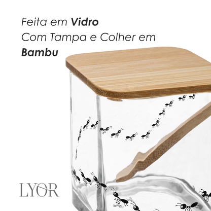 Açucareiro com Tampa e Colher de Bambu New Bug 8cm x 9,5cm Vidro – Lyor