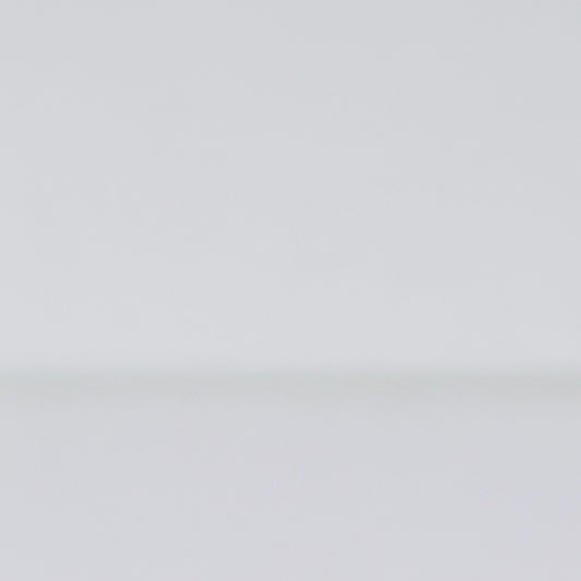 Lugar Americano Folhagem 43,5cm x 28,5cm Plástico - Lyor