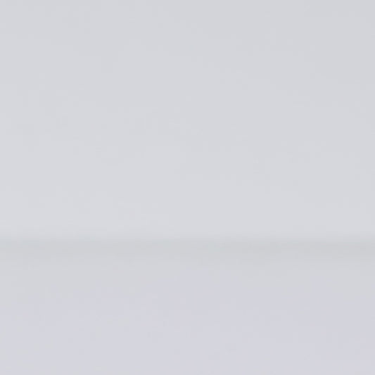 Lugar Americano Tulipas 43,5cm x 28,5cm Plástico - Lyor