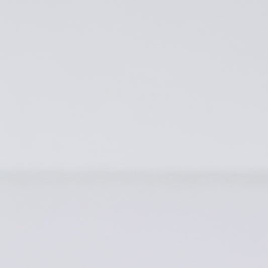 Lugar Americano de Polipropileno Baguette 43,5cm x 28,5cm - Lyor